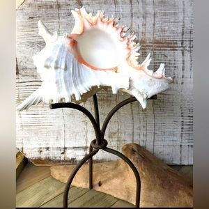 Reversible Metal Display Stand Shell Candle Holder Reseller Product Photography